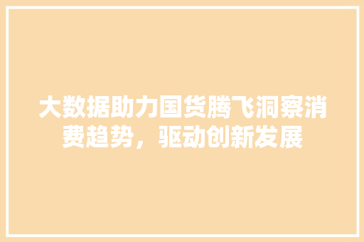 大数据助力国货腾飞洞察消费趋势，驱动创新发展