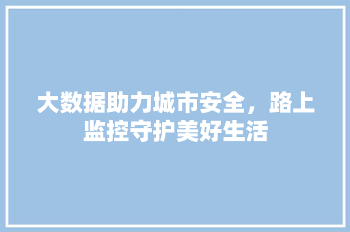 大数据助力城市安全，路上监控守护美好生活