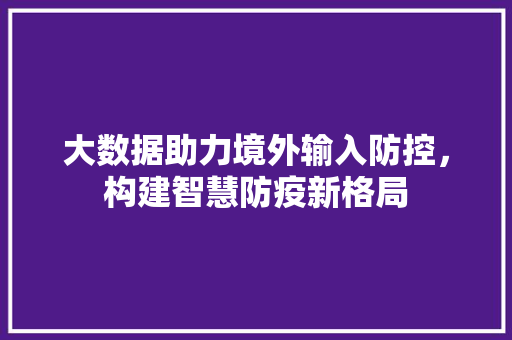 大数据助力境外输入防控，构建智慧防疫新格局