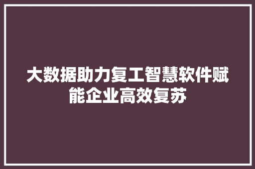 大数据助力复工智慧软件赋能企业高效复苏