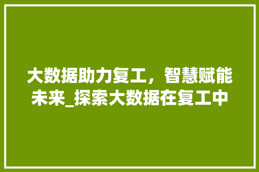 大数据助力复工，智慧赋能未来_探索大数据在复工中的应用与前景