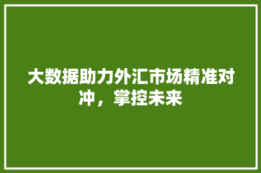 大数据助力外汇市场精准对冲，掌控未来