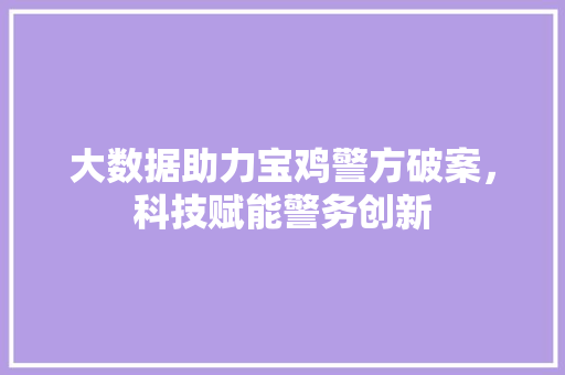 大数据助力宝鸡警方破案，科技赋能警务创新
