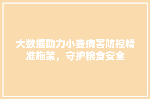 大数据助力小麦病害防控精准施策，守护粮食安全