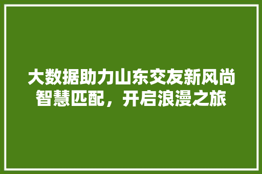 大数据助力山东交友新风尚智慧匹配,开启浪漫之旅 大数据助力山东交友新风尚智慧匹配,开启浪漫之旅