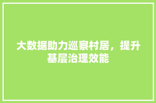 大数据助力巡察村居，提升基层治理效能