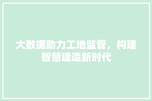 大数据助力工地监管，构建智慧建造新时代