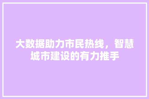 大数据助力市民热线，智慧城市建设的有力推手