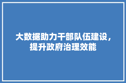 大数据助力干部队伍建设，提升政府治理效能