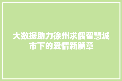 大数据助力徐州求偶智慧城市下的爱情新篇章