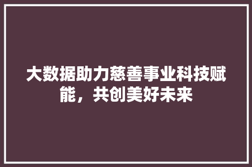 大数据助力慈善事业科技赋能,共创美好未来 大数据助力慈善事业科技赋能,共创美好未来