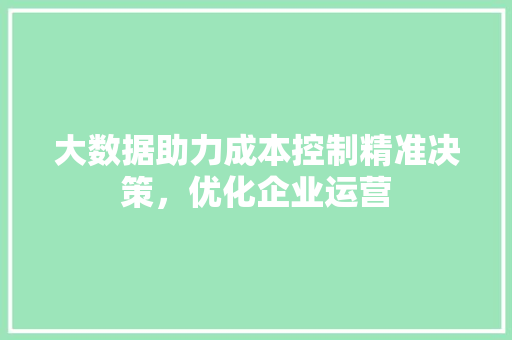 大数据助力成本控制精准决策，优化企业运营 电脑配置