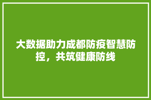 大数据助力成都防疫智慧防控，共筑健康防线