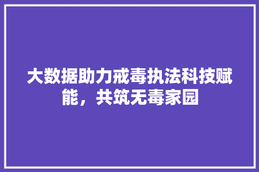 大数据助力戒毒执法科技赋能,共筑无毒家园 大数据助力戒毒执法科技赋能,共筑无毒家园