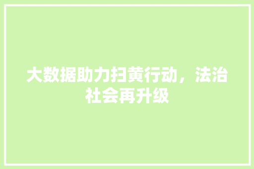 大数据助力扫黄行动，法治社会再升级