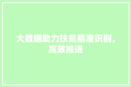 大数据助力扶贫精准识别，高效推进