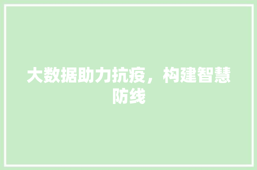 大数据助力抗疫,构建智慧防线 大数据助力抗疫,构建智慧防线