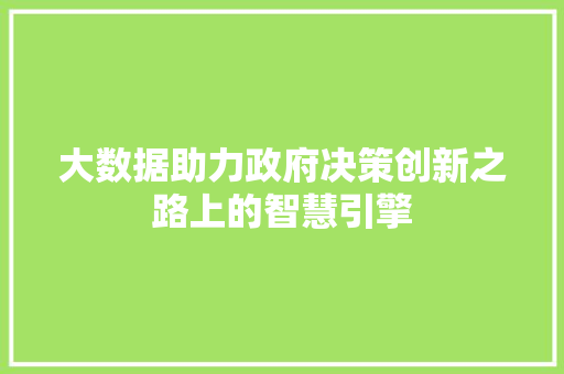 大数据助力政府决策创新之路上的智慧引擎 大数据助力政府决策创新之路上的智慧引擎