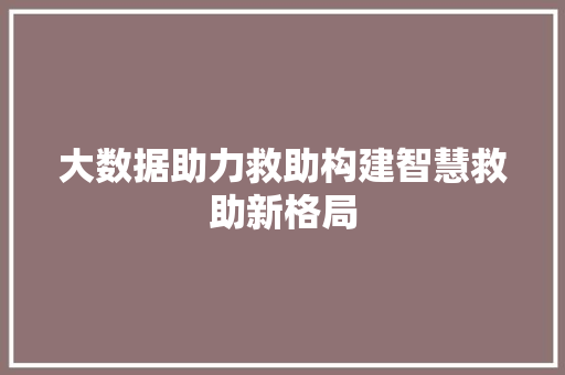 大数据助力救助构建智慧救助新格局