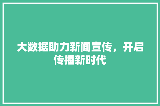 大数据助力新闻宣传，开启传播新时代