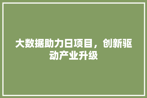 大数据助力日项目，创新驱动产业升级