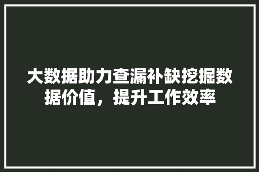 大数据助力查漏补缺挖掘数据价值,提升工作效率 大数据助力查漏补缺挖掘数据价值,提升工作效率