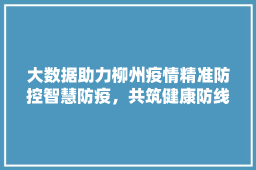 大数据助力柳州疫情精准防控智慧防疫,共筑健康防线 大数据助力柳州疫情精准防控智慧防疫,共筑健康防线