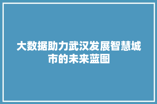 大数据助力武汉发展智慧城市的未来蓝图