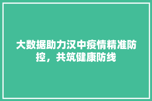 大数据助力汉中疫情精准防控，共筑健康防线
