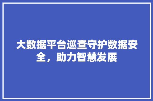 大数据平台巡查守护数据安全，助力智慧发展 电脑基础