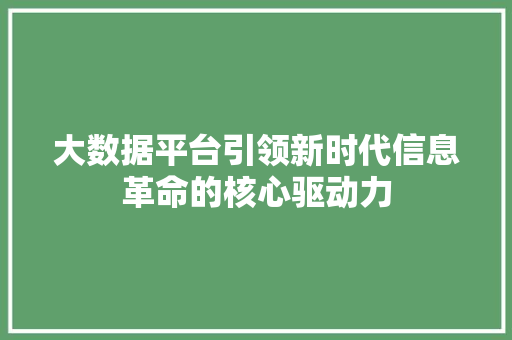 大数据平台引领新时代信息革命的核心驱动力 电脑配置