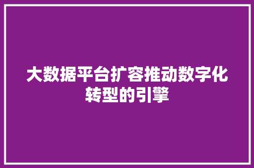 大数据平台扩容推动数字化转型的引擎