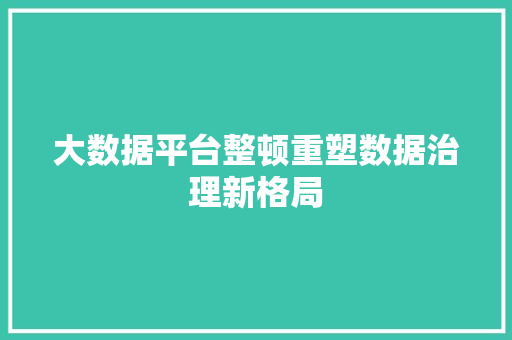 大数据平台整顿重塑数据治理新格局