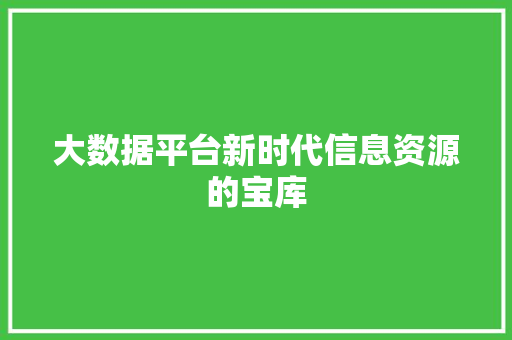 大数据平台新时代信息资源的宝库