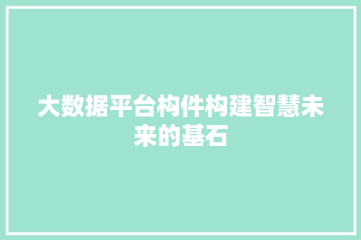 大数据平台构件构建智慧未来的基石