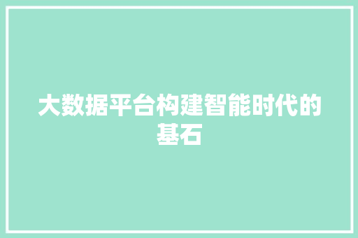大数据平台构建智能时代的基石