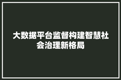 大数据平台监督构建智慧社会治理新格局