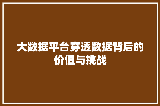 大数据平台穿透数据背后的价值与挑战 大数据平台穿透数据背后的价值与挑战