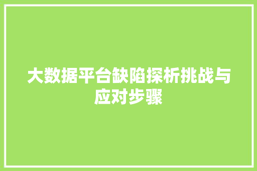 大数据平台缺陷探析挑战与应对步骤 大数据平台缺陷探析挑战与应对步骤