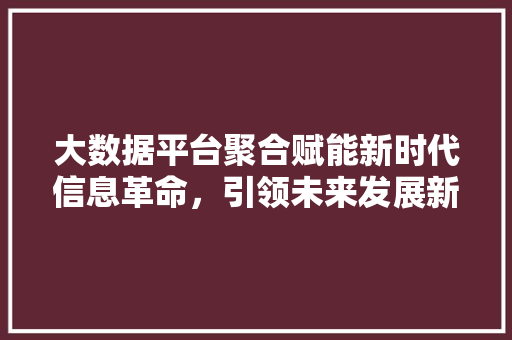 大数据平台聚合赋能新时代信息革命,引领未来发展新格局 大数据平台聚合赋能新时代信息革命,引领未来发展新格局