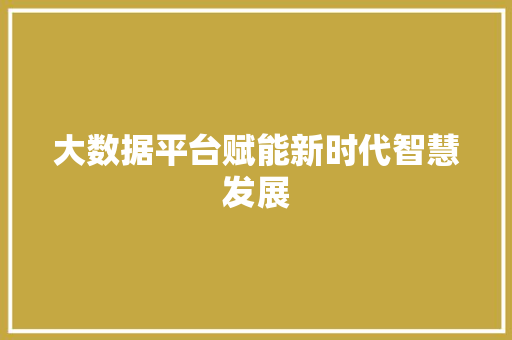 大数据平台赋能新时代智慧发展
