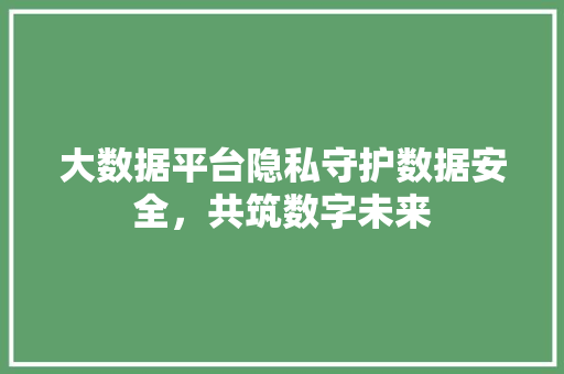 大数据平台隐私守护数据安全，共筑数字未来