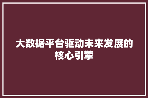 大数据平台驱动未来发展的核心引擎