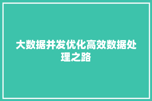 大数据并发优化高效数据处理之路