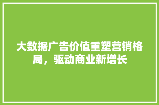 大数据广告价值重塑营销格局，驱动商业新增长