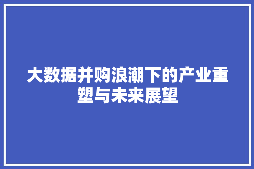 大数据并购浪潮下的产业重塑与未来展望