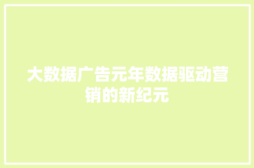 大数据广告元年数据驱动营销的新纪元