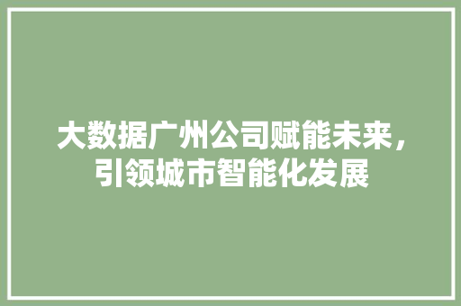 大数据广州公司赋能未来，引领城市智能化发展
