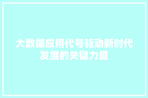 大数据应用代号驱动新时代发展的关键力量