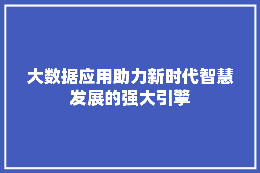 大数据应用助力新时代智慧发展的强大引擎